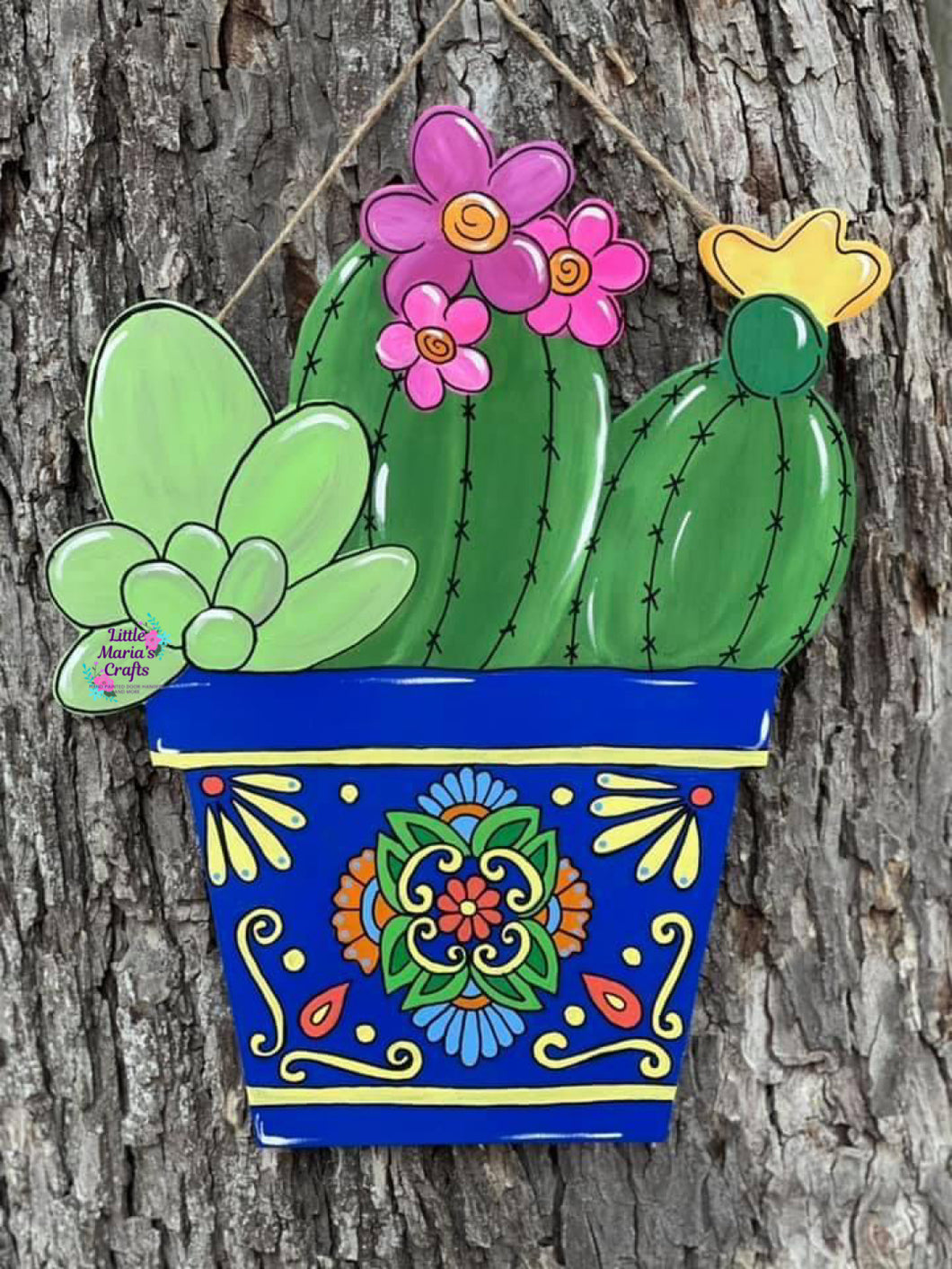 Cactus in Mexican pottery door hanger